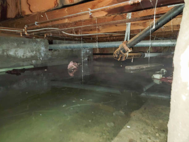 Best Water damage restoration near me  in Elburn, IL