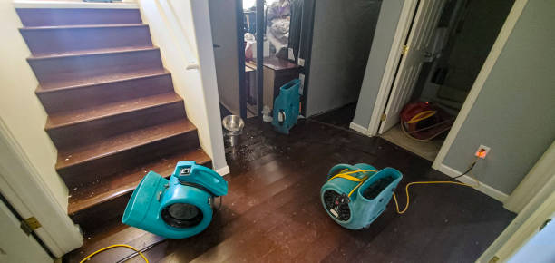 Carpet water damage restoration in Elburn, IL