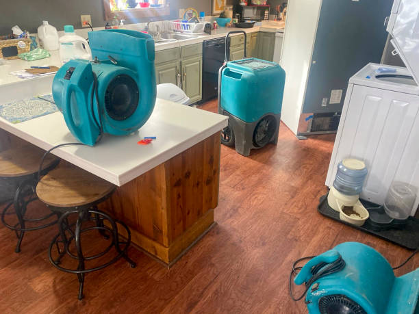 Best Water damage mitigation services  in Elburn, IL