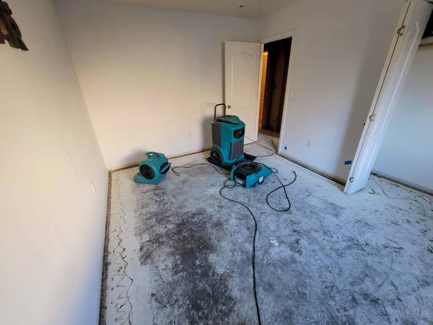 Best 24-hour water damage restoration  in Elburn, IL