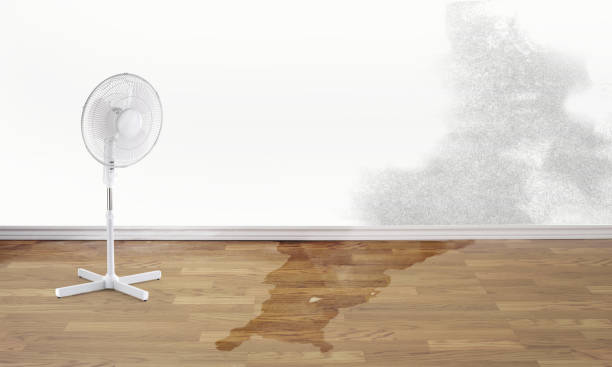 Fire Damage Restoration in Elburn, IL