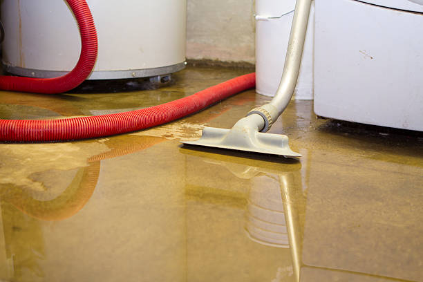 Best Residential water damage restoration  in Elburn, IL