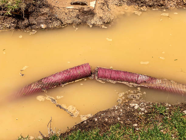 Water damage restoration insurance claims in Elburn, IL